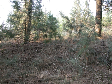 Torricella, Parapina, Servigliano, FM - Fonte orale: Luoghi dell'immaginario, Ricerca del tesoro