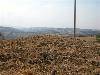 Rocca, Rocca, Servigliano, FM - Fonte orale: Luoghi dell'immaginario, Ricerca del tesoro