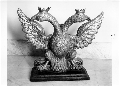 Aquila bicipite