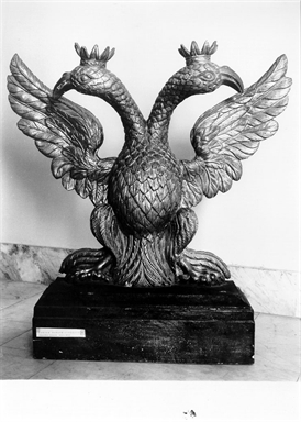 Aquila bicipite