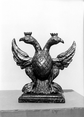 Aquila bicipite