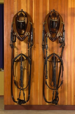 finimenti da cavallo