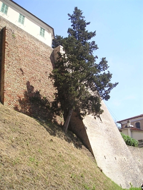 Mura Malatestiane