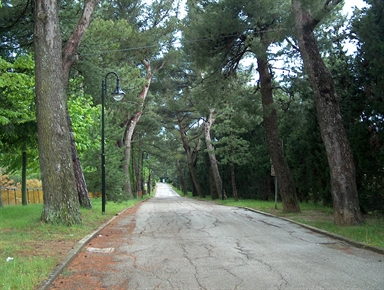 Parco Elisa Amatori