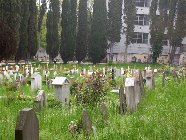 Cimitero Vecchio - Campo III