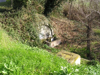 Fonte D'Amico