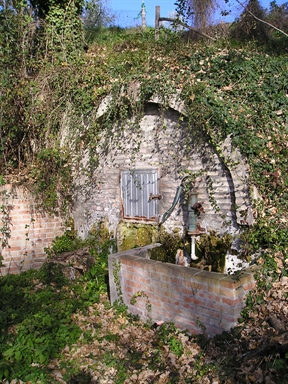 Fonte D'Amico