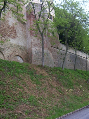 Torrione di Palazzo Palazzi