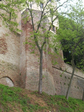 Torrione di Palazzo Palazzi