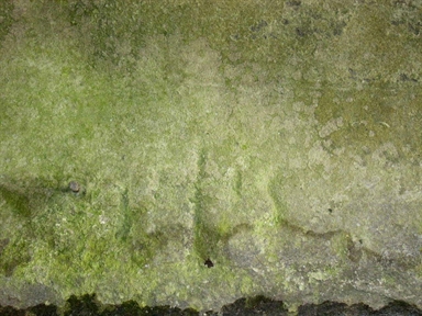 Fonte di Quintodecimo