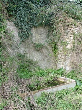 Fonte Cisterna