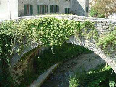 Ponte Mutini
