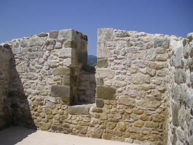 Torre di Petrella Guidi
