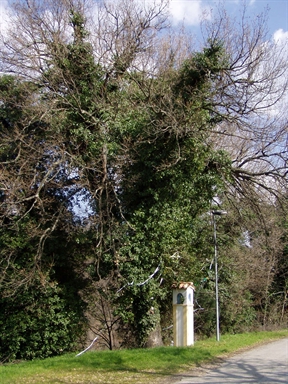 Edicola di Valle Fuini