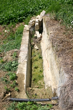 Fonte Acquanera