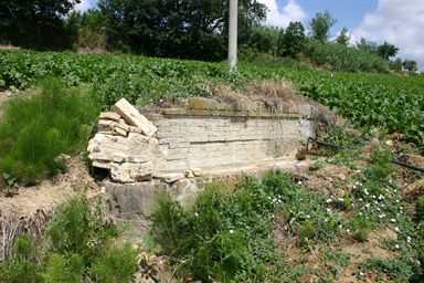 Fonte Acquanera