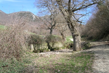 Fonte di Roti