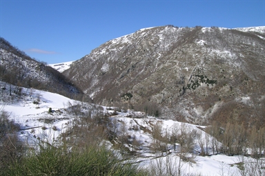 Cimitero di Pantaneto