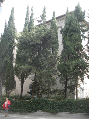 Villino Olivieri