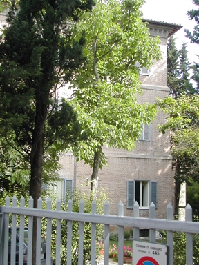 Villino Olivieri