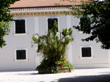 Villa Wania