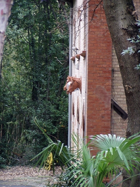 Scuderia di Villa Ricotti