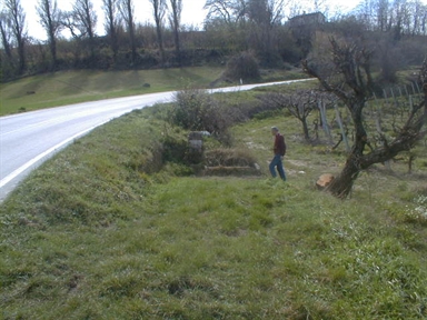 Fonte delle Gioncare