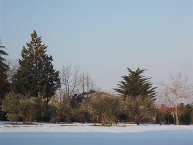 Casa colonica di Villa Papi