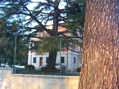 Villa Pirani