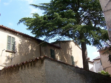Casa Vici