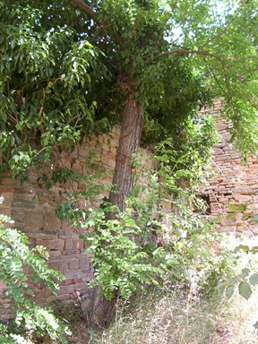 Cappella dell'Angelo Custode