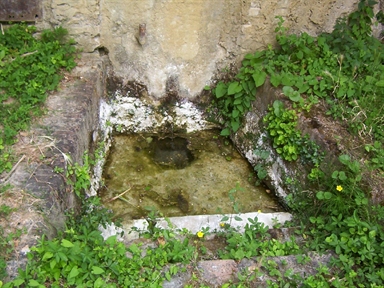 Fontanile di Nidastore