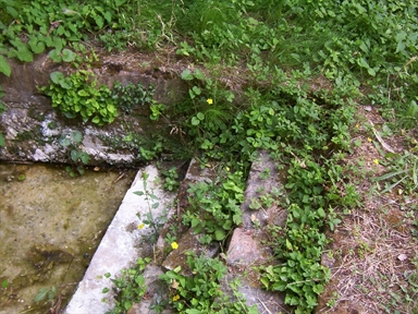 Fontanile di Nidastore