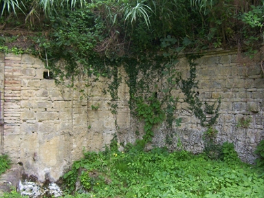 Fontanile di Nidastore