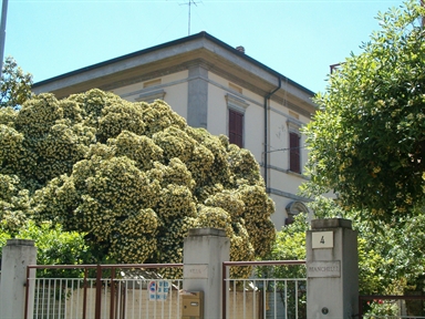 Villa Bianchelli