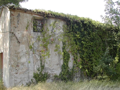 Cappella di Palazzo Vallemani