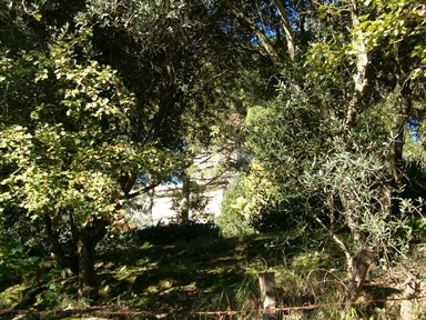 Villa Gigli