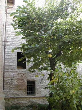 Palazzo in P.zza Matteotti