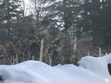 Chiesa di Villa Bucci