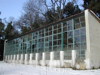 Limonaia di Villa Carotti