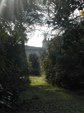 Villa Cesarini