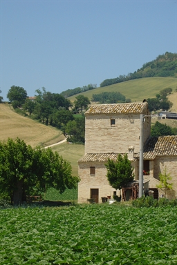 Palombara