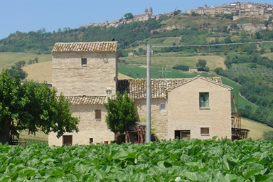 Palombara