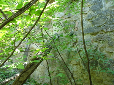 Chiesa di S. Lorenzo