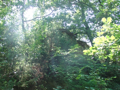 Chiesa di S. Lorenzo