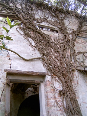 Roccolo di Villa Bernetti