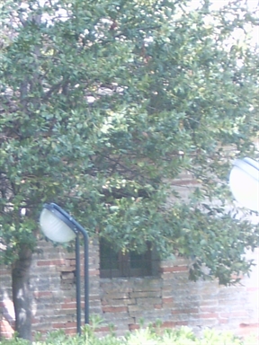 Chiesa di Villa degli Aranci