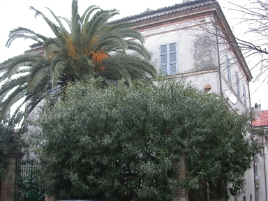 Casa Ciccarelli