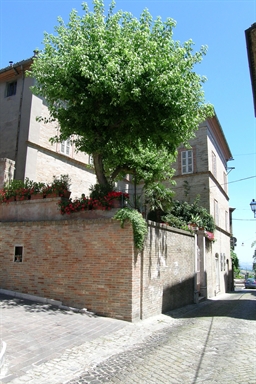 Palazzo Antonelli