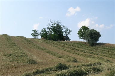 Chiesa di S. Prospero